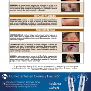  - procedimientos, duet